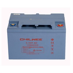 Тяговый аккумулятор CHILWEE 6-EVF-60 - фото 5034592