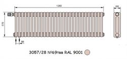 Стальной трубчатый радиатор 3-колончатый Arbonia 3057/28 N69 твв RAL 9001 M86420 - фото 5211648