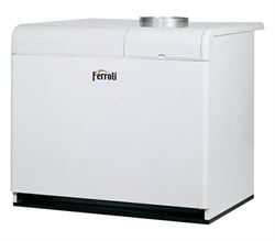 Напольный газовый котел Ferroli PEGASUS F3 N 170 2S (0E2LBAWA) - фото 5272507